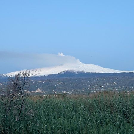 Green Paradise With Etna View Mascali Exterior foto