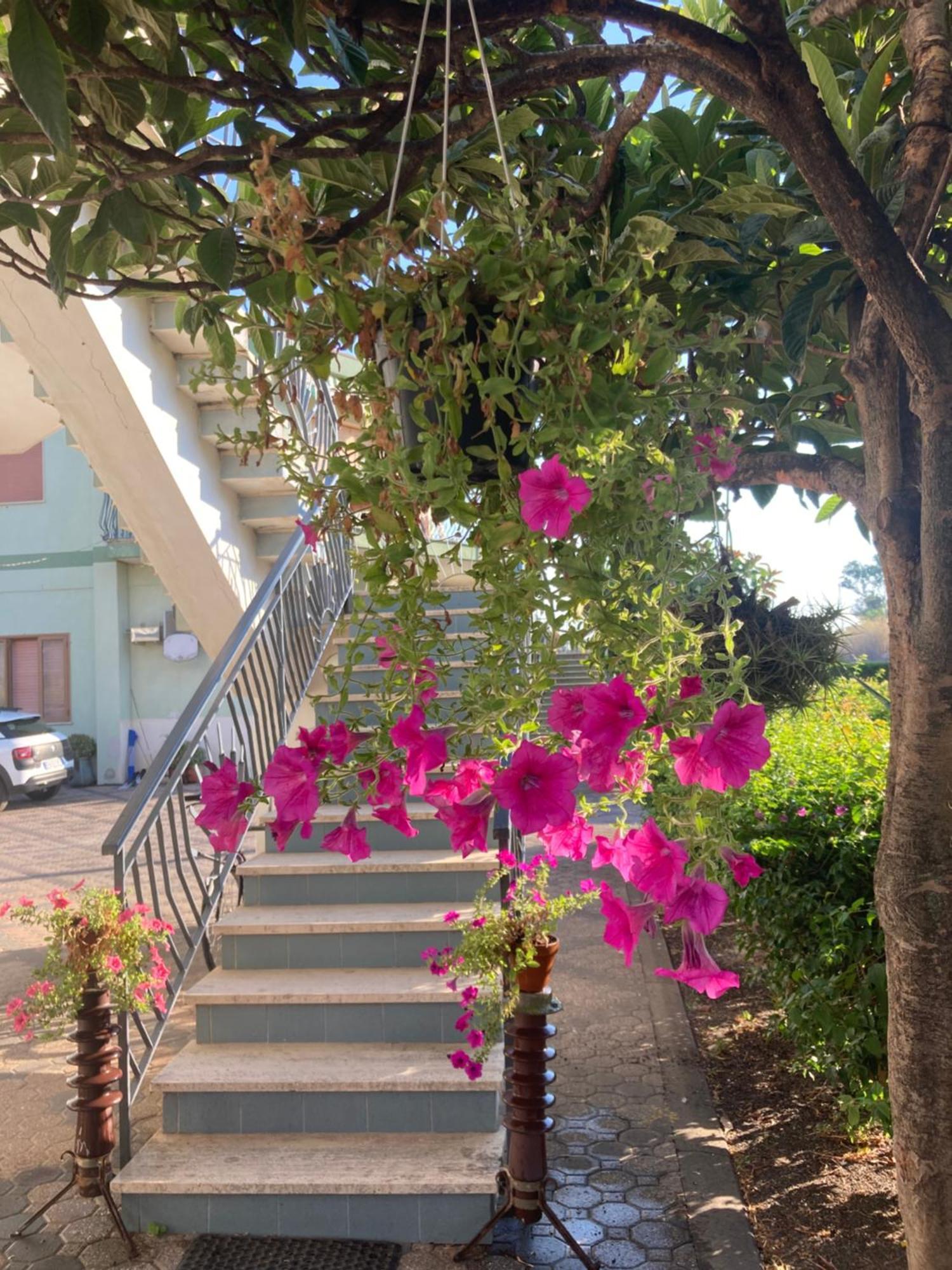 Green Paradise With Etna View Mascali Exterior foto