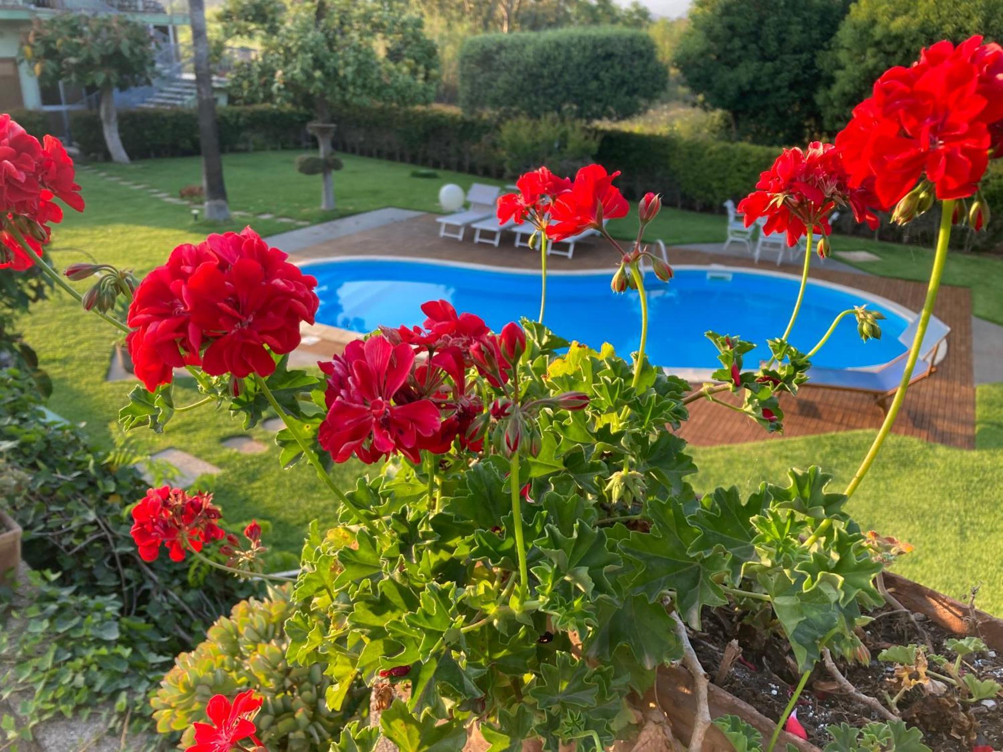 Green Paradise With Etna View Mascali Exterior foto