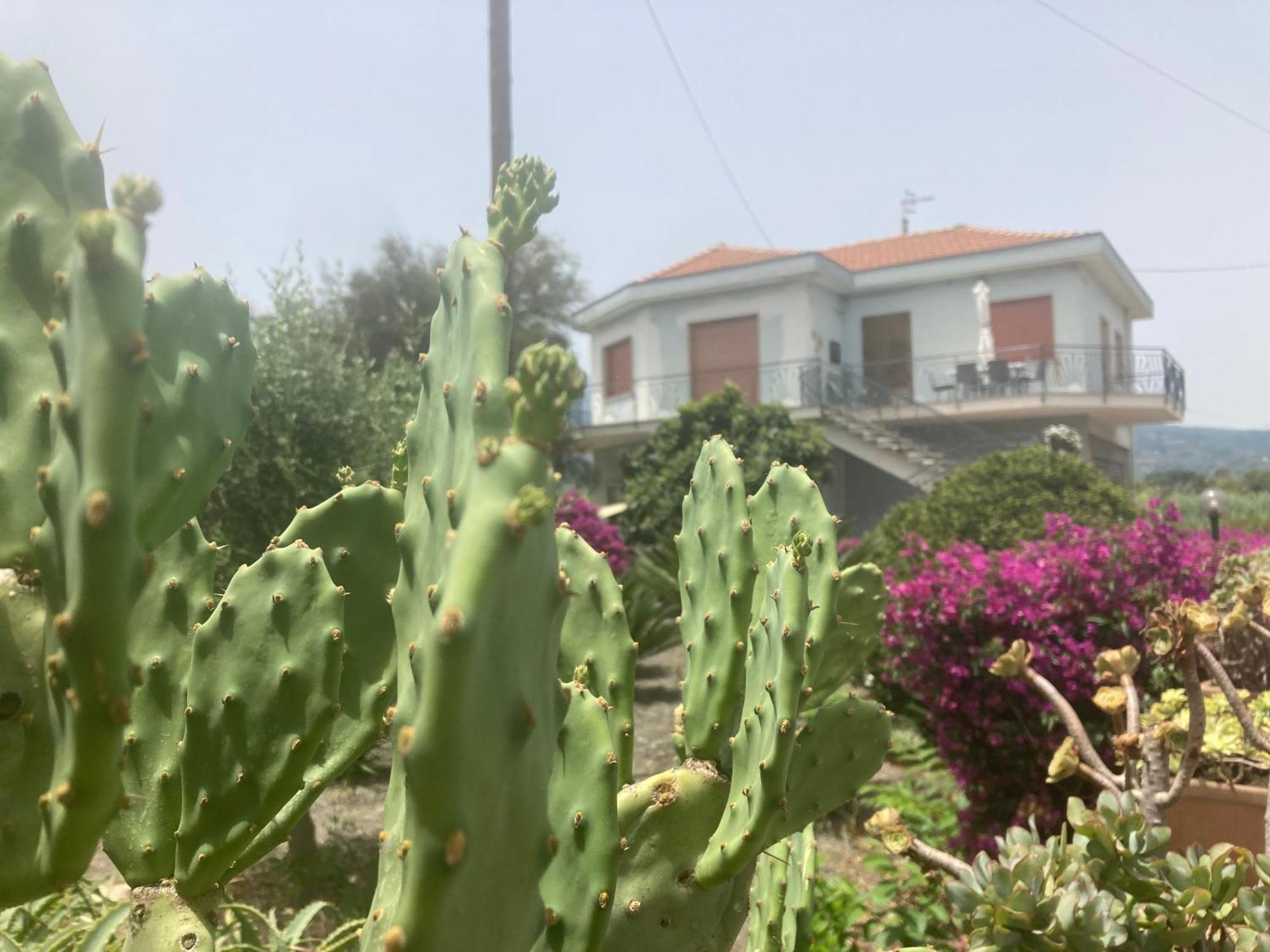 Green Paradise With Etna View Mascali Exterior foto