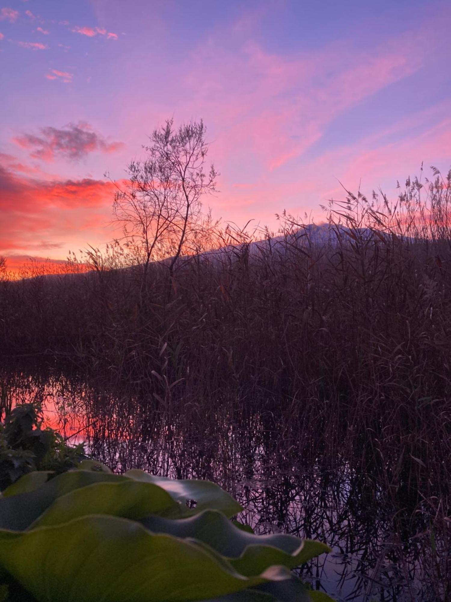 Green Paradise With Etna View Mascali Exterior foto