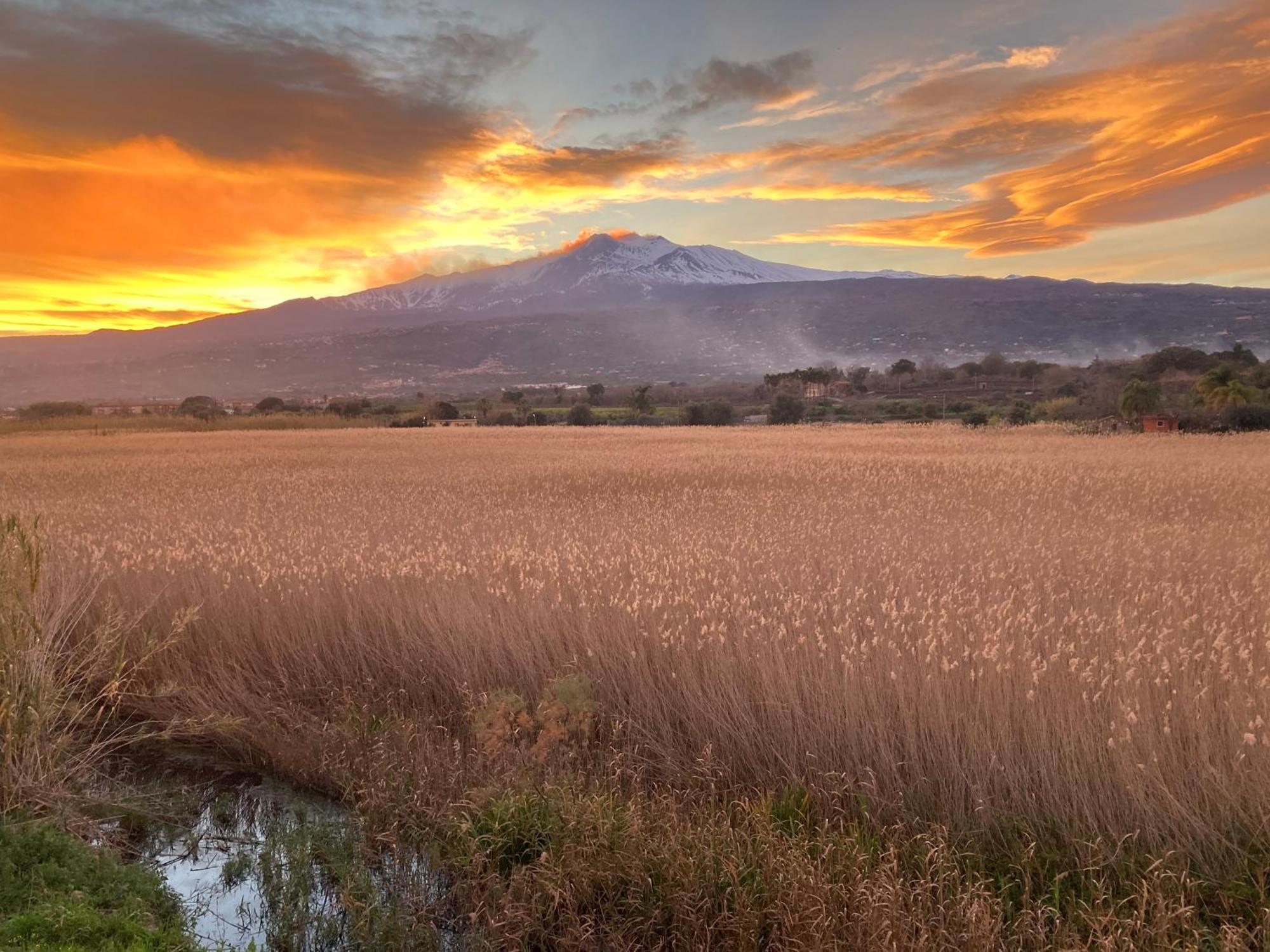 Green Paradise With Etna View Mascali Exterior foto