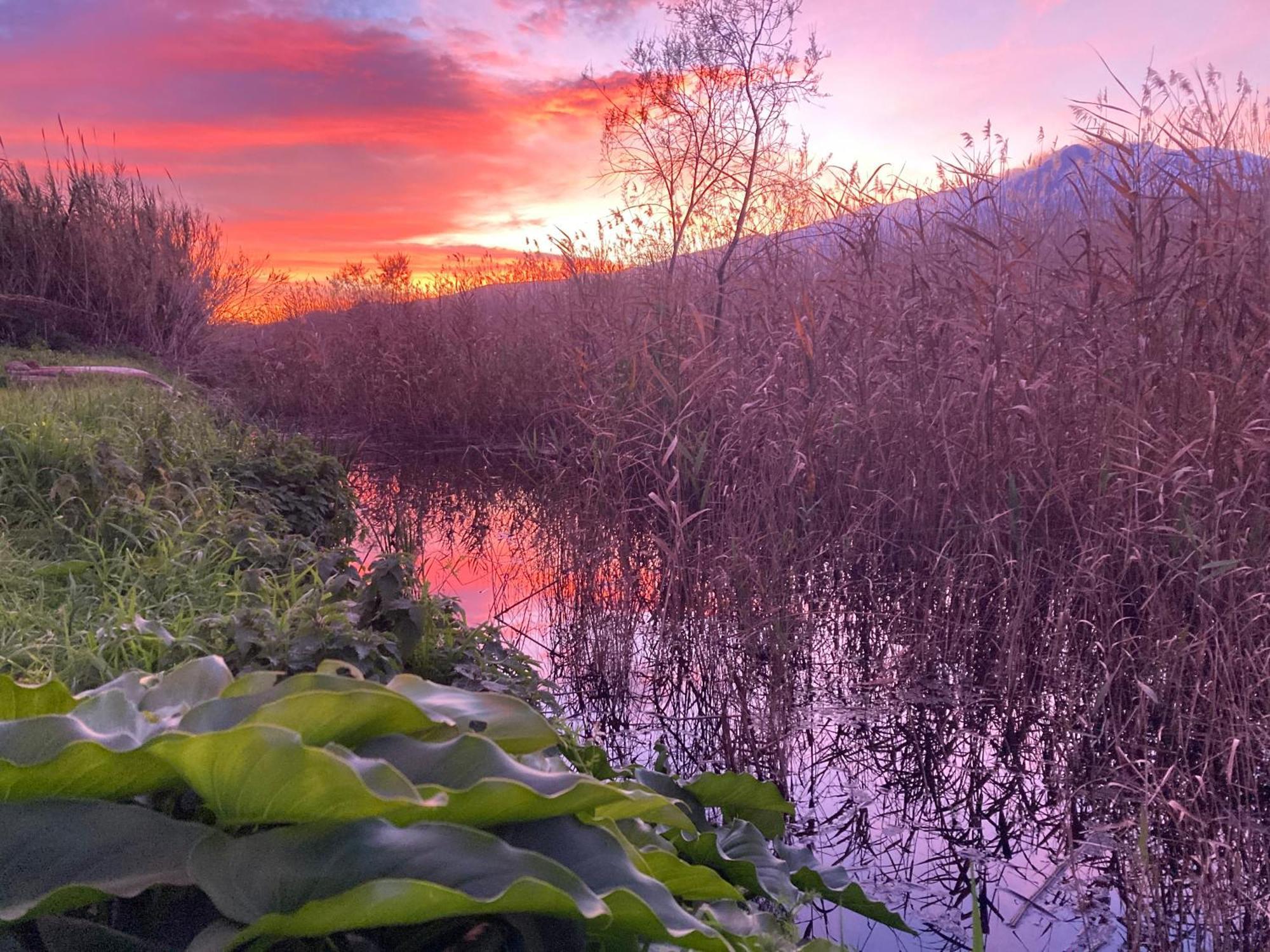 Green Paradise With Etna View Mascali Exterior foto