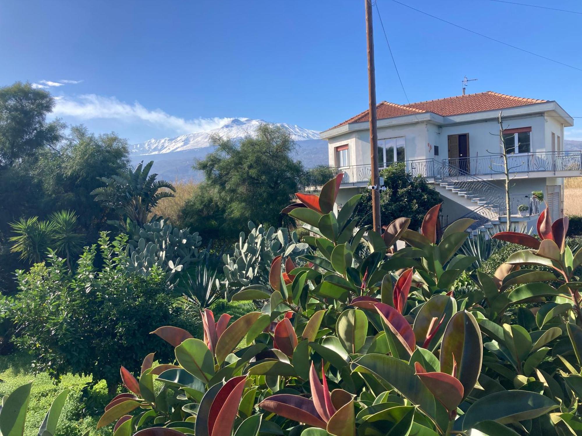 Green Paradise With Etna View Mascali Exterior foto