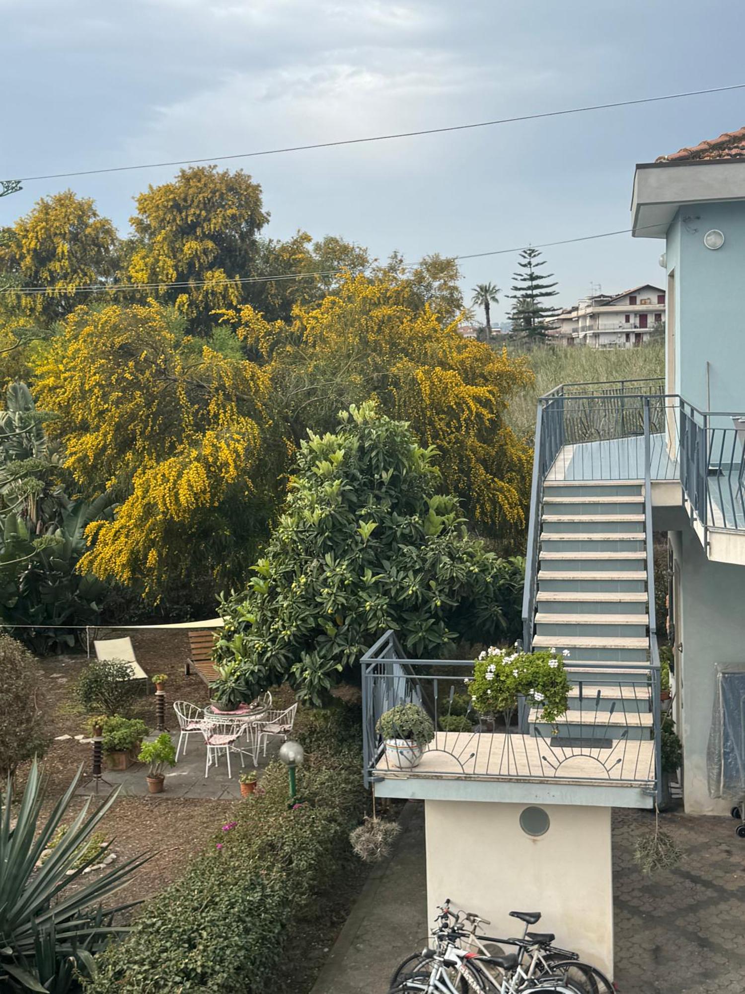 Green Paradise With Etna View Mascali Exterior foto