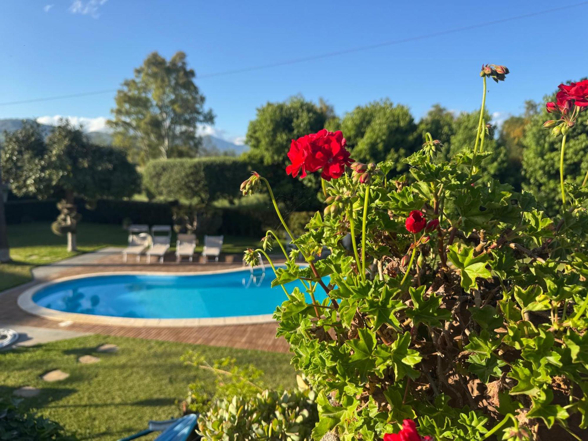 Green Paradise With Etna View Mascali Exterior foto