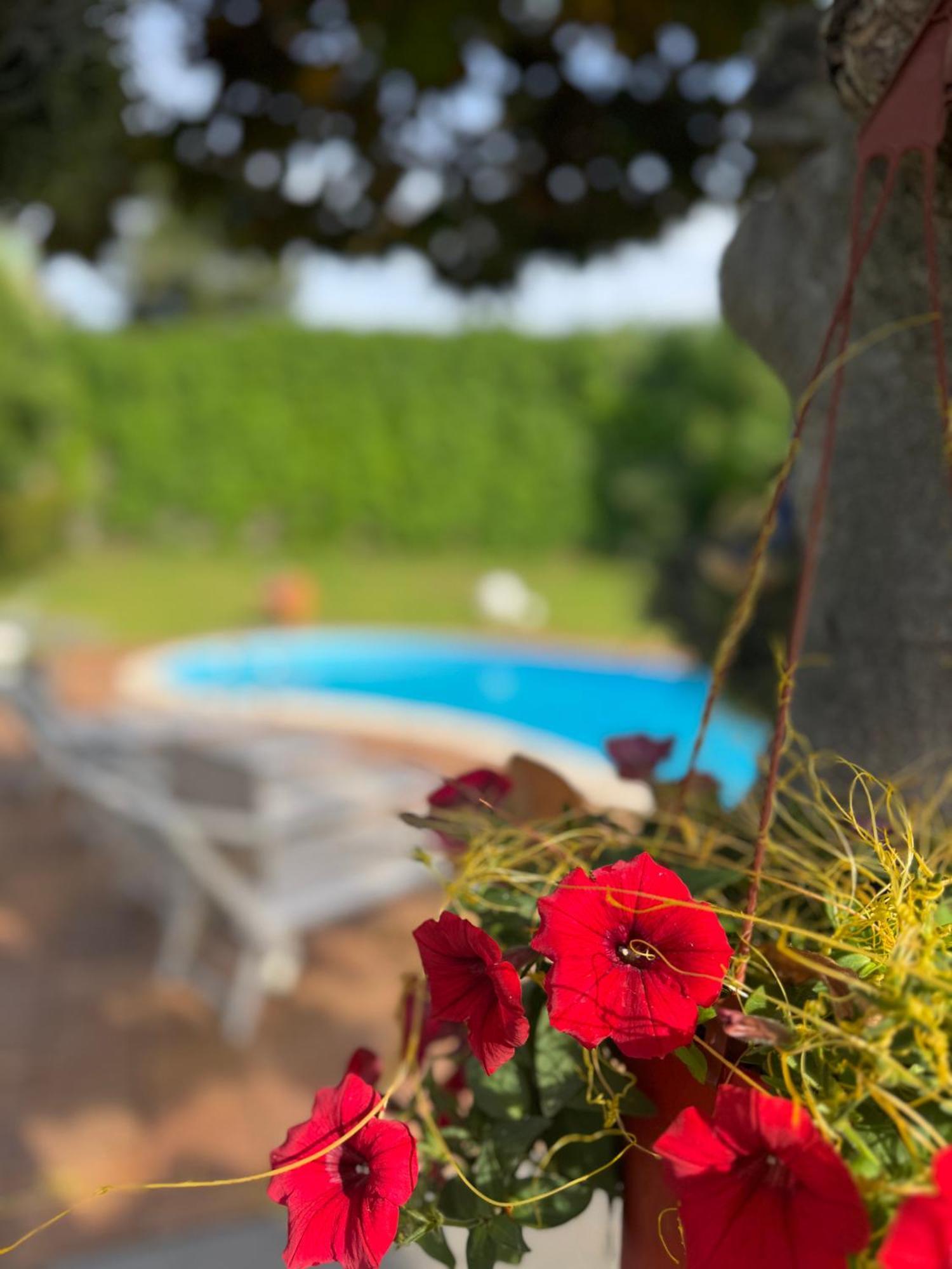 Green Paradise With Etna View Mascali Exterior foto