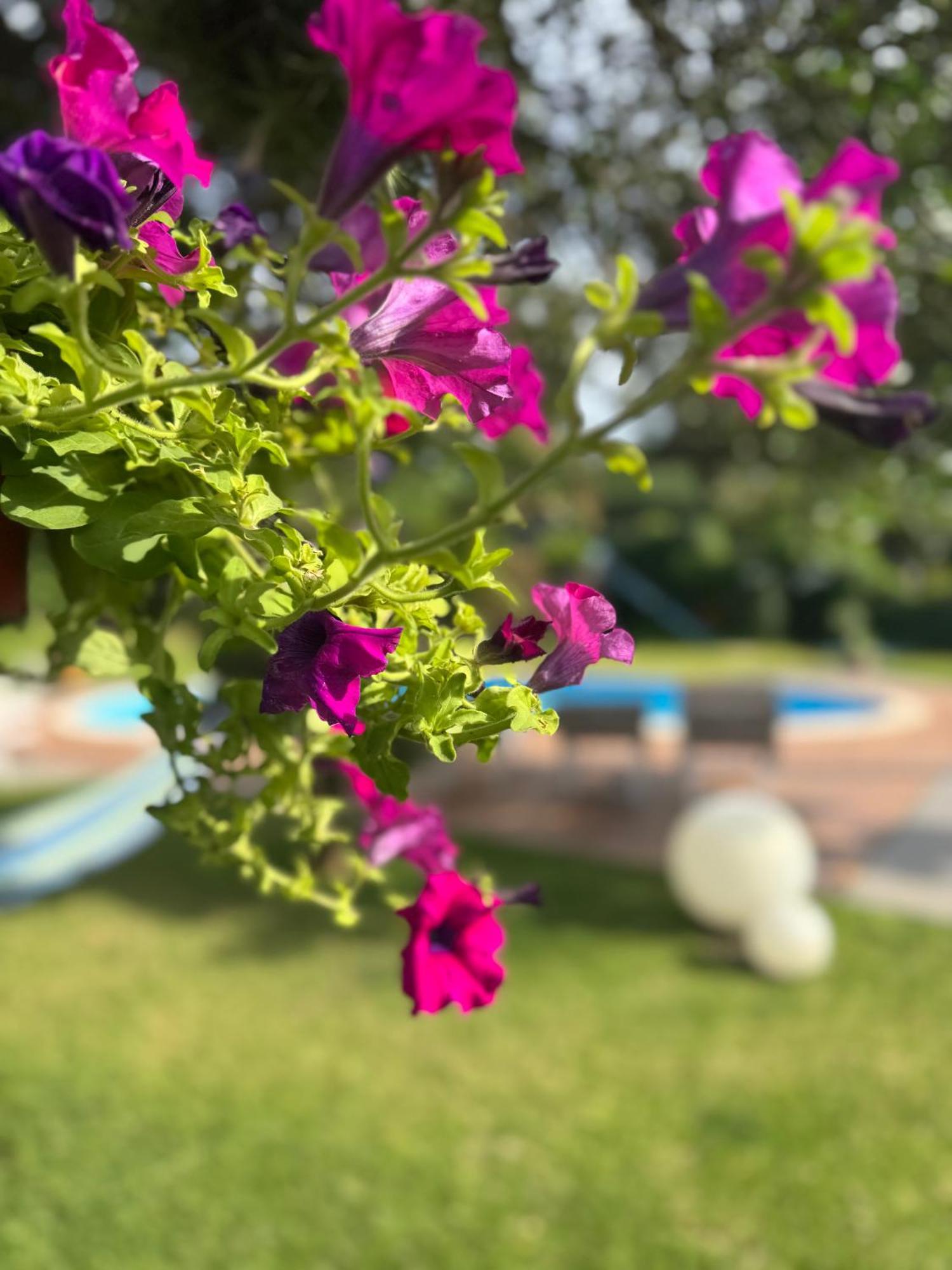 Green Paradise With Etna View Mascali Exterior foto